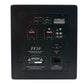 FF-10 Subwoofer (B-Stock)