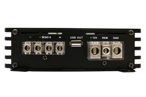 Mini-D2000-V2 Mono Amplifier